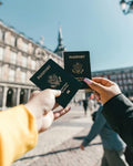 UK Visitor Visa Risk Assessment Report